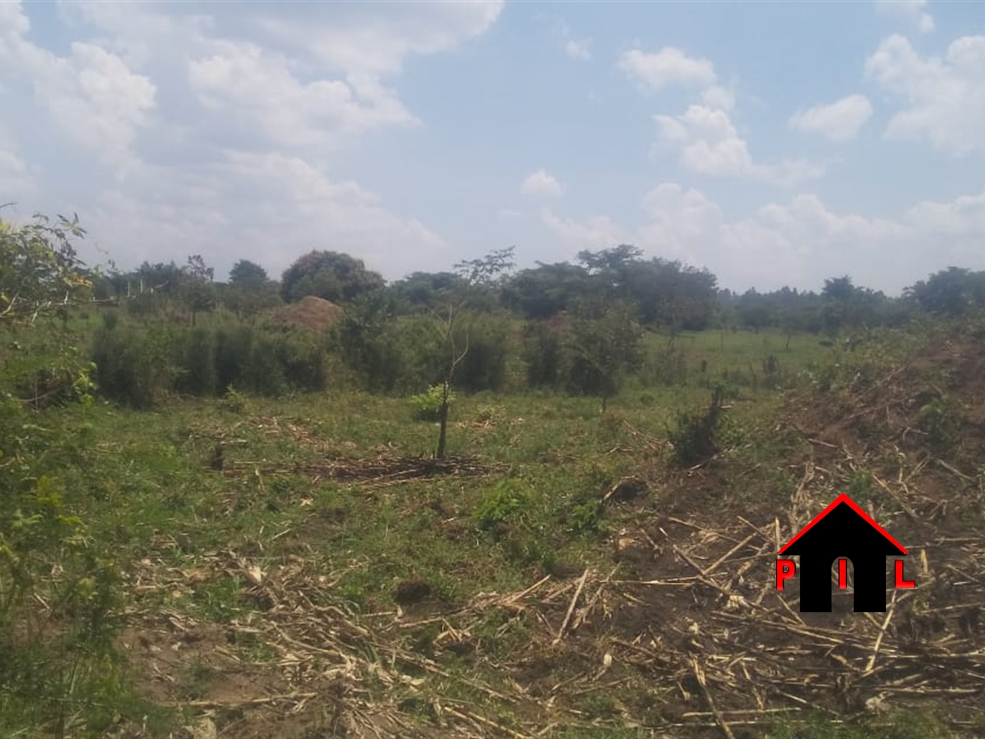 Commercial Land for sale in Ziloobwe Luweero