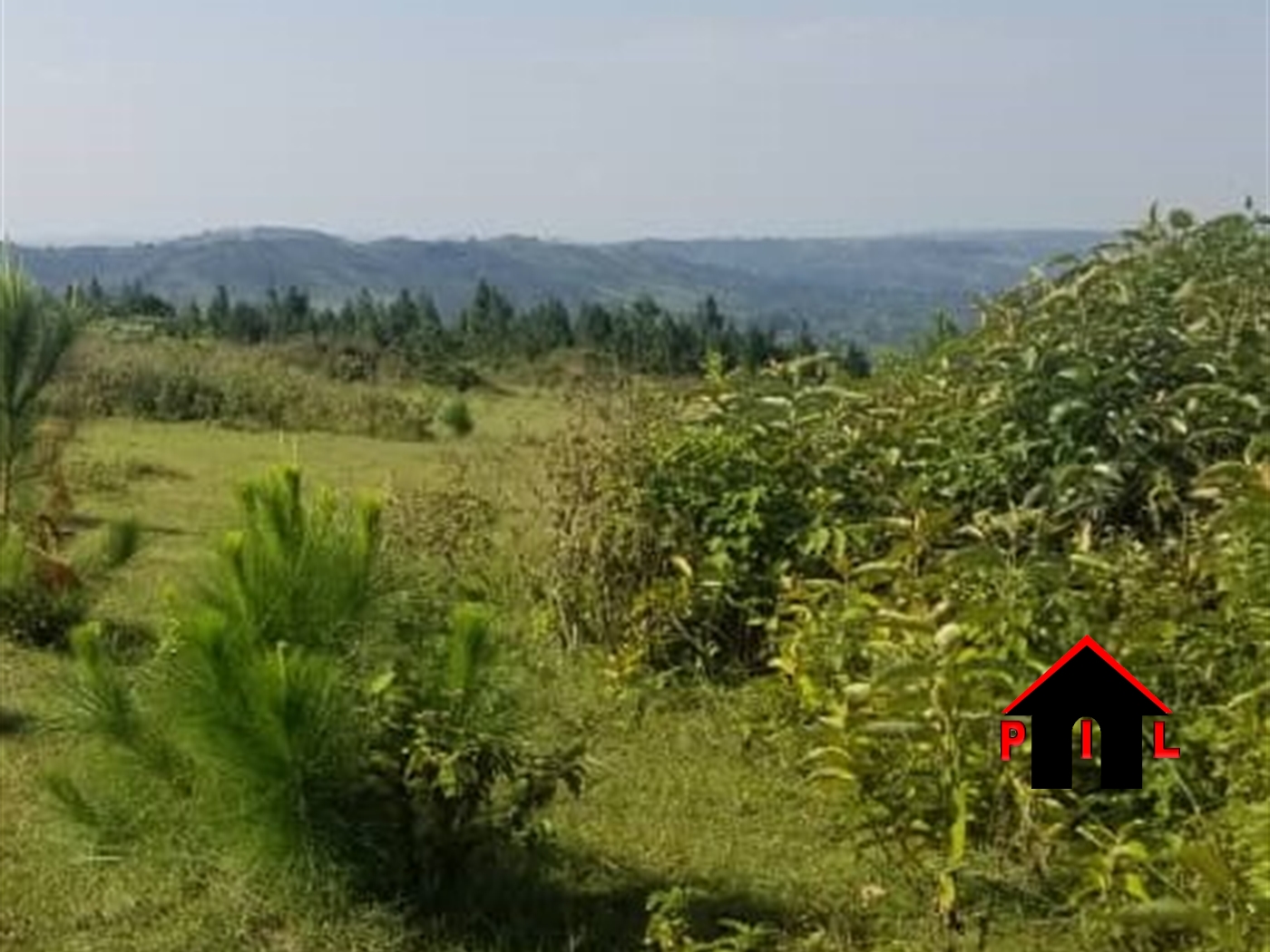 Commercial Land for sale in Ngogwe Buyikwe