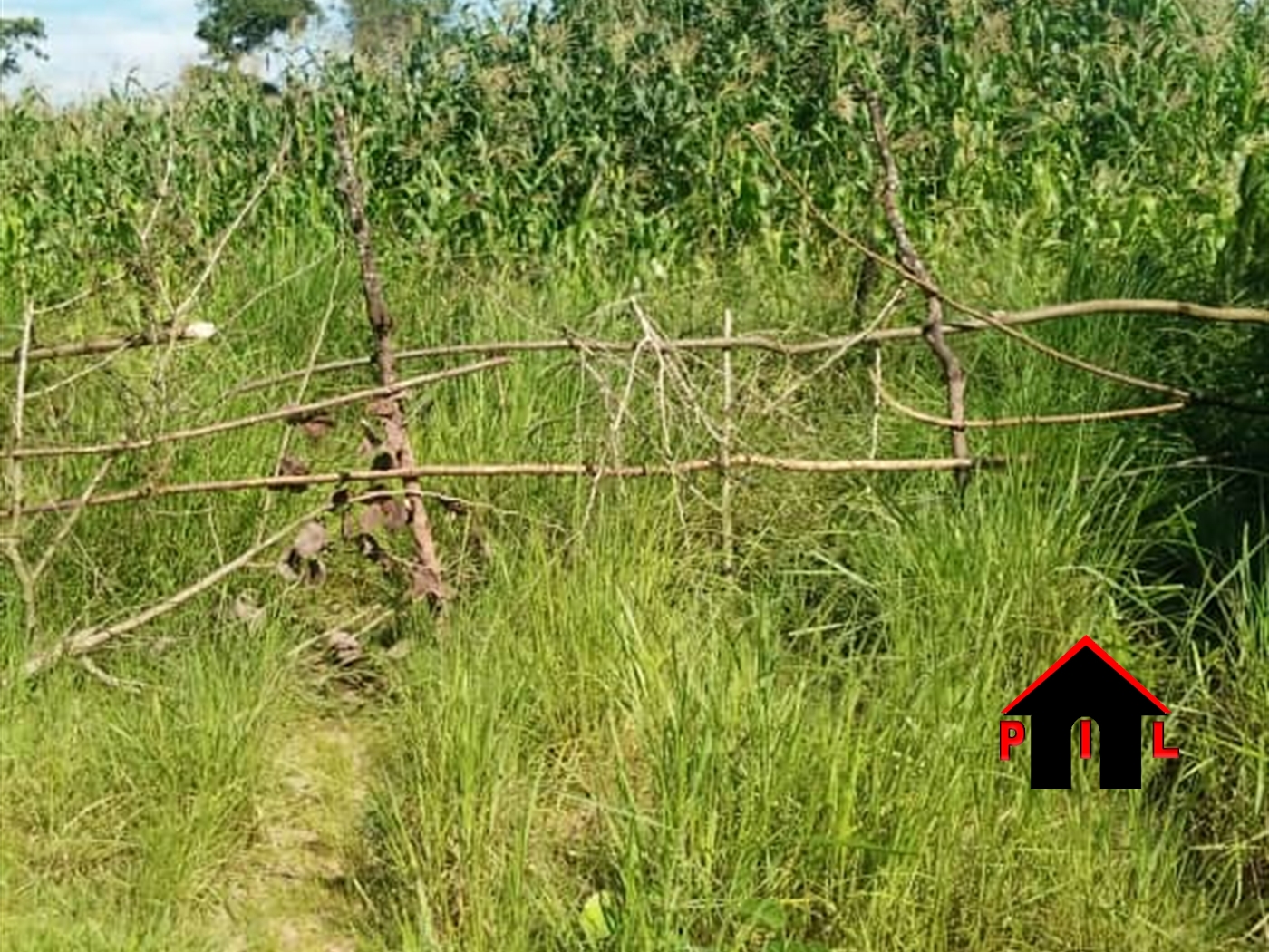Commercial Land for sale in Kakooge Luweero