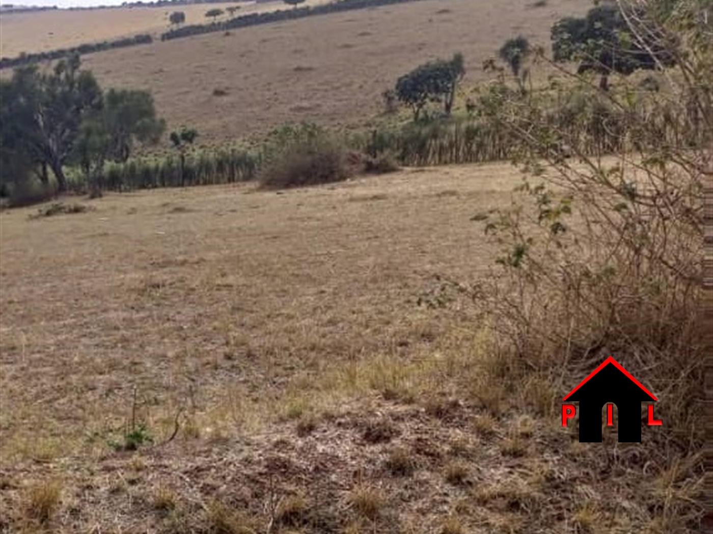 Agricultural Land for sale in Rwentobo Ntungamo
