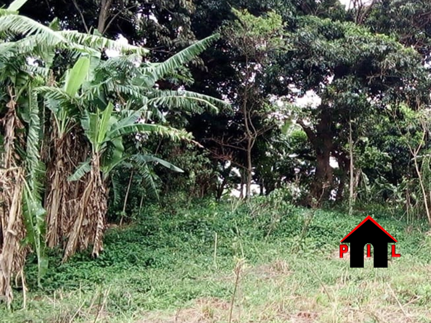 Agricultural Land for sale in Kandegeya Gomba