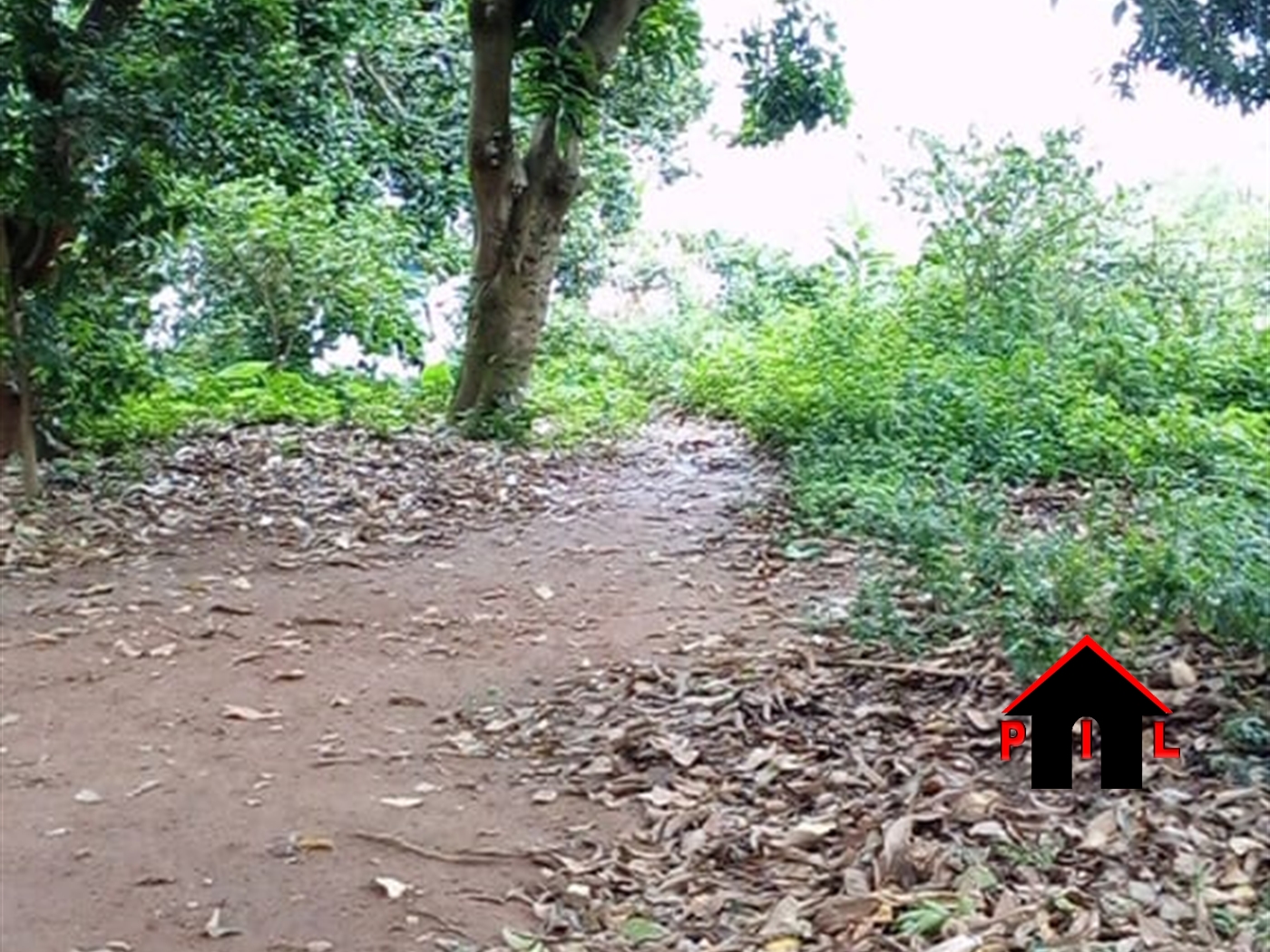 Agricultural Land for sale in Kandegeya Gomba