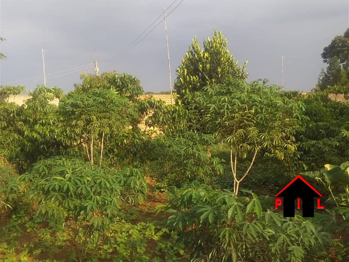 Agricultural Land for sale in Kyafoora Ntungamo