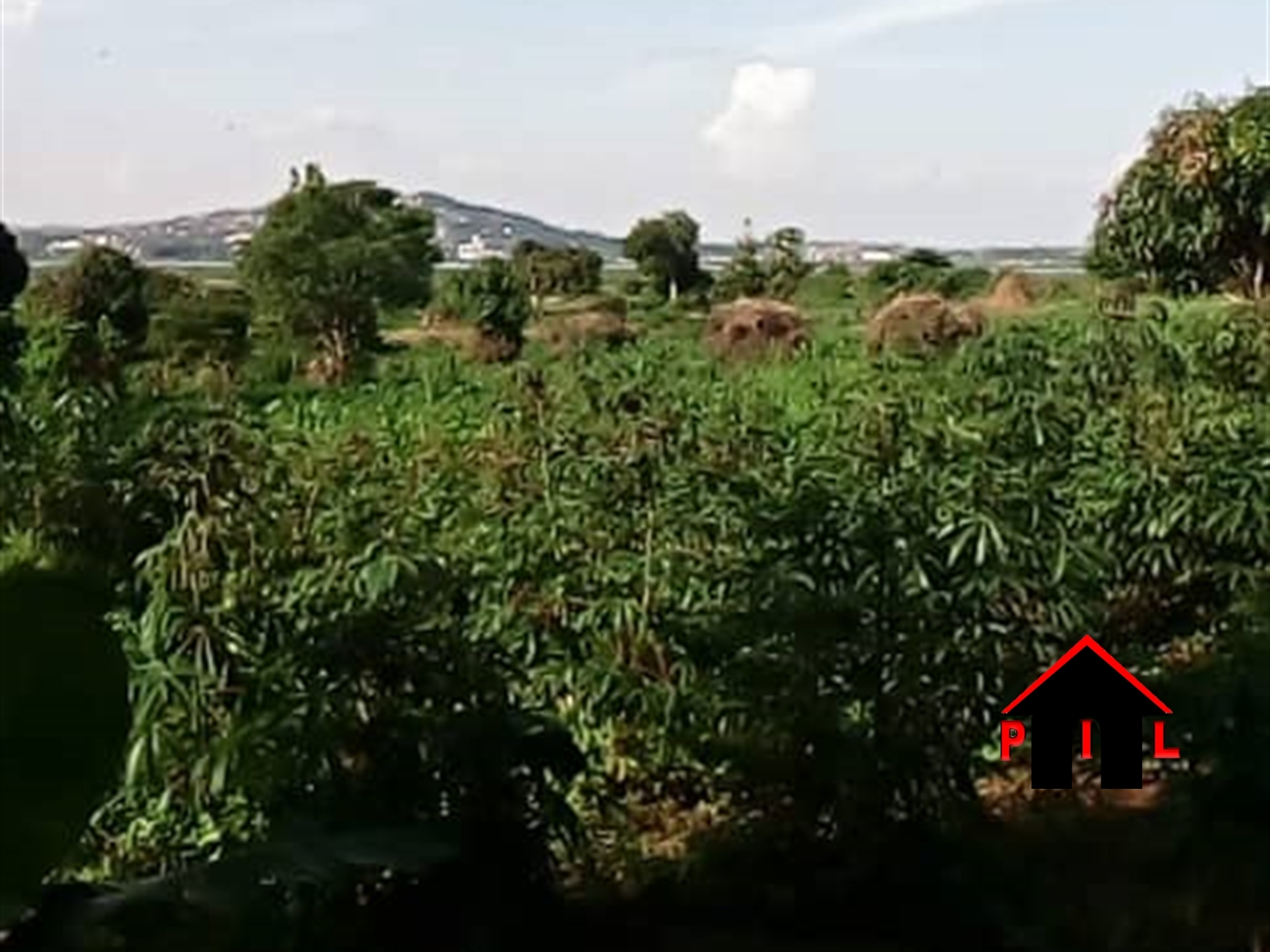 Commercial Land for sale in Nsangi Mpigi