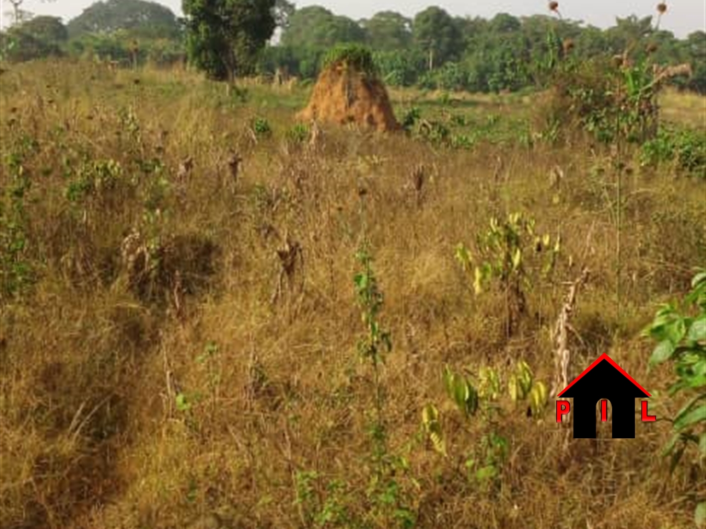 Commercial Land for sale in Namagooma Mpigi