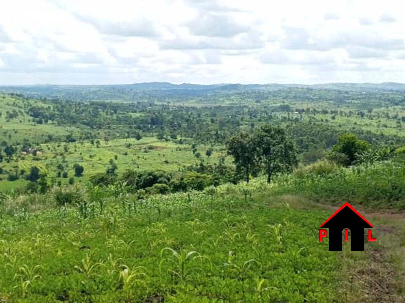 Commercial Land for sale in Kyaka Kyegegwa