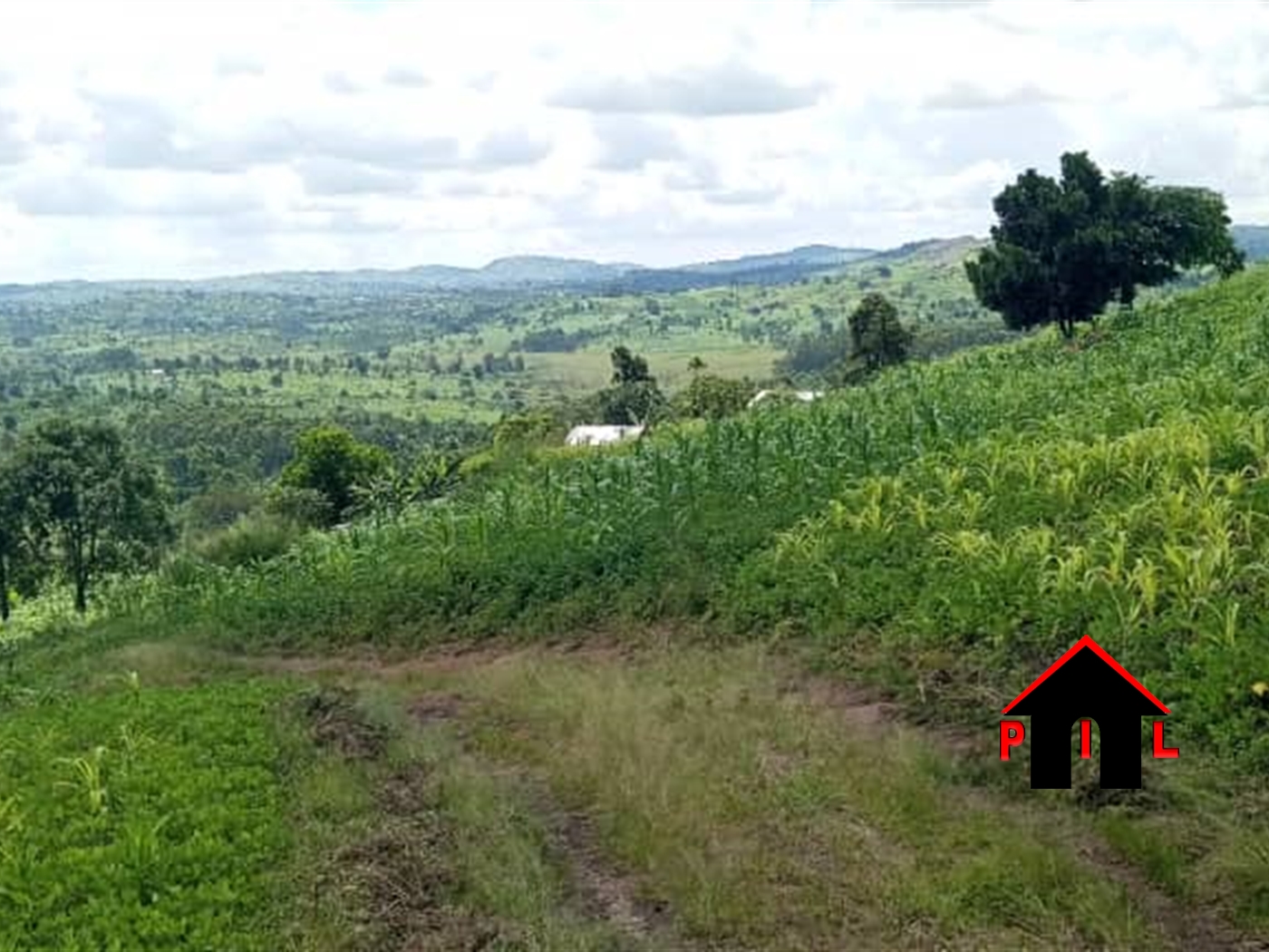 Commercial Land for sale in Kyaka Kyegegwa
