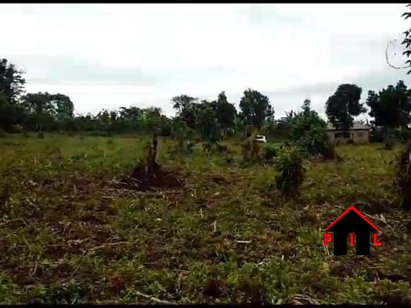 Commercial Land for sale in Nakisunga Mukono