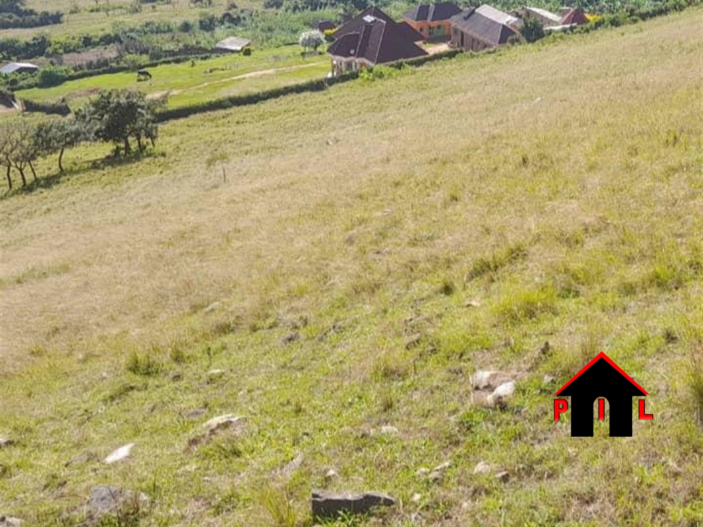 Agricultural Land for sale in Ruhaama Ntungamo