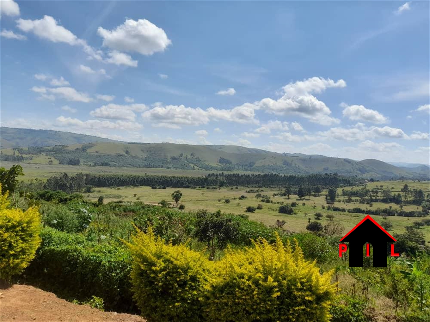 Agricultural Land for sale in Ruhaama Ntungamo