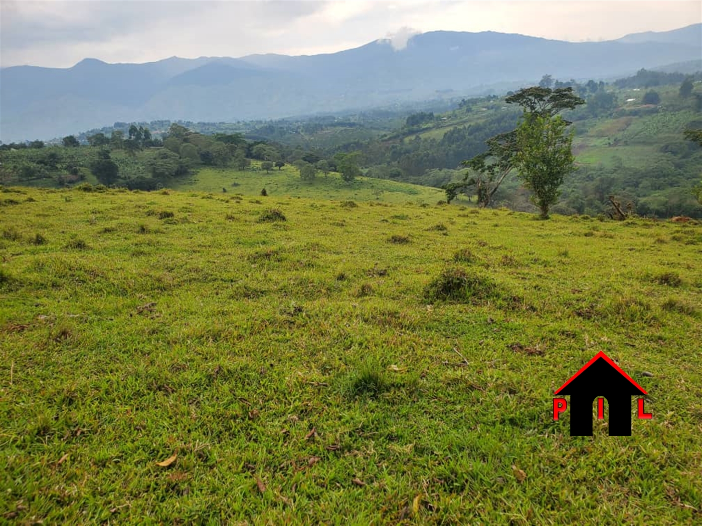 Commercial Land for sale in Buheesi Kabarole