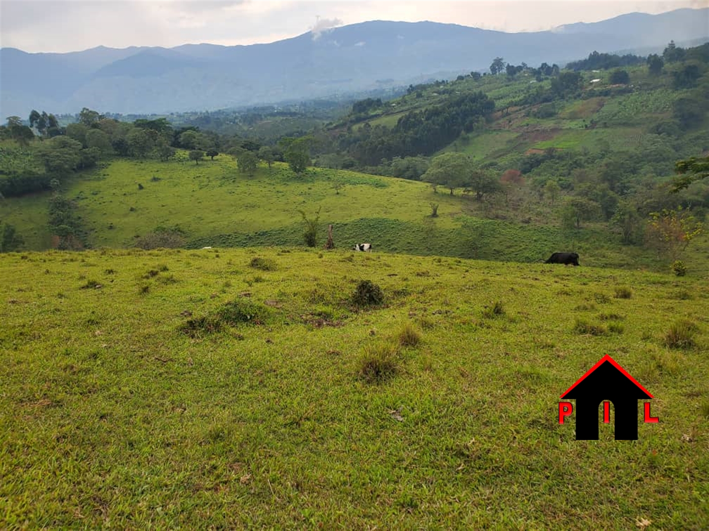 Commercial Land for sale in Buheesi Kabarole