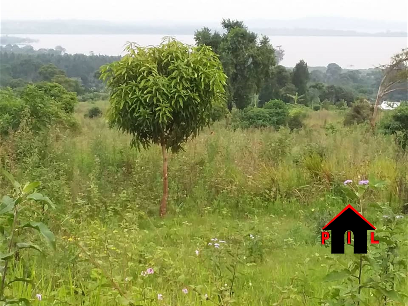 Commercial Land for sale in Ziba Wakiso