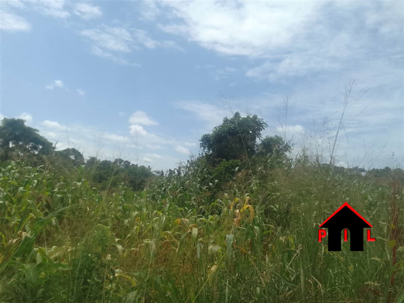 Agricultural Land for sale in Kagobe Kiboga