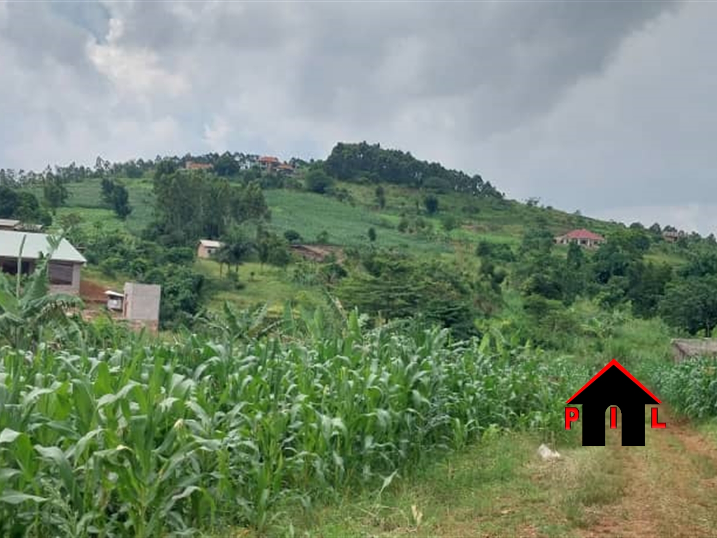 Agricultural Land for sale in Kawulu Mukono