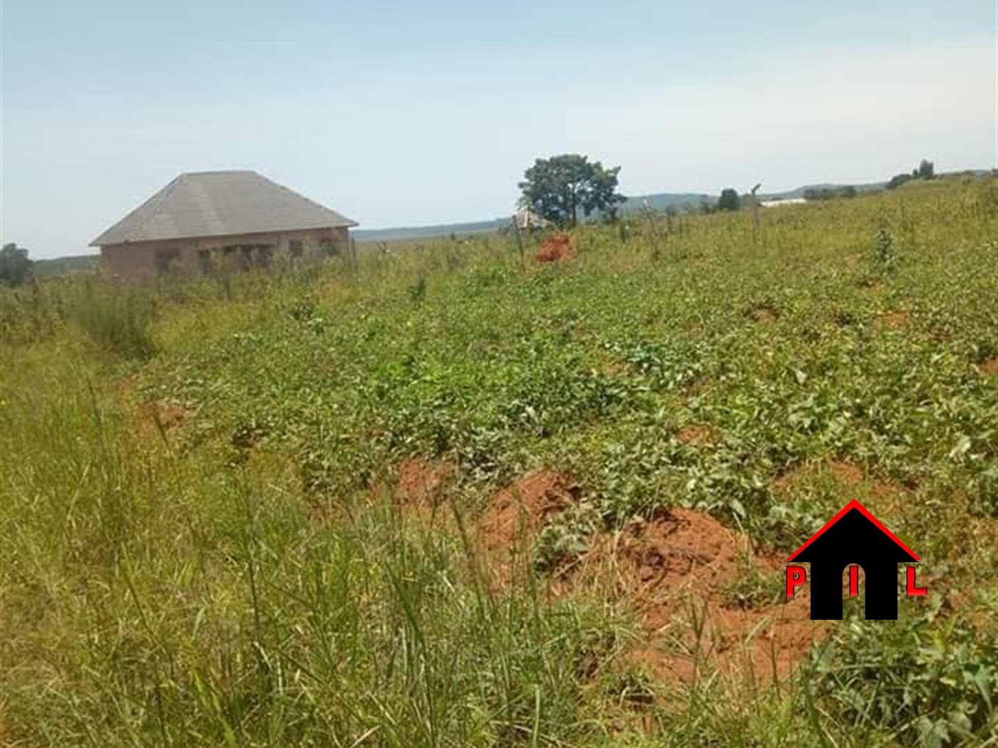 Agricultural Land for sale in Buwooya Mukono