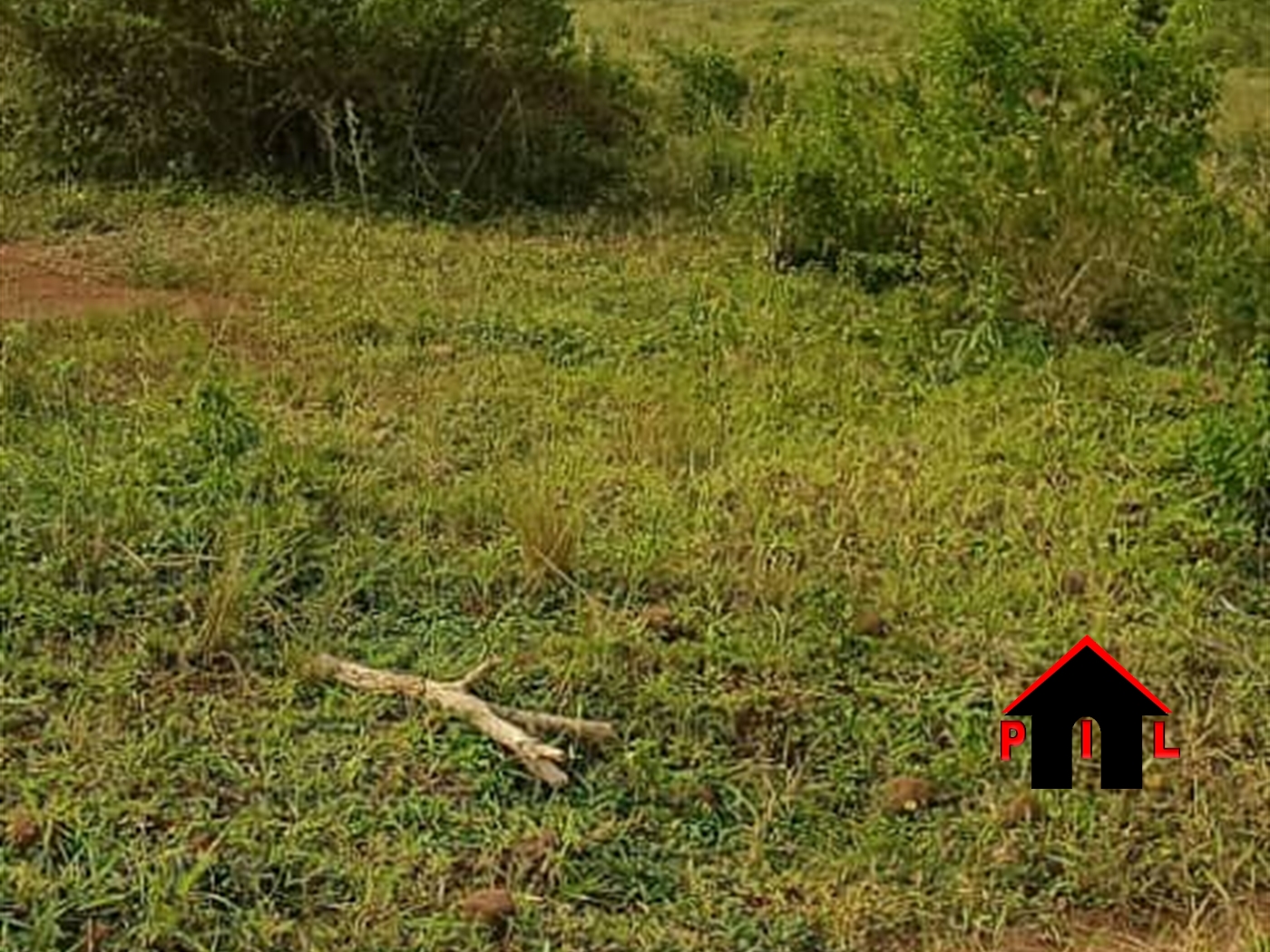 Commercial Land for sale in Nsangi Mpigi