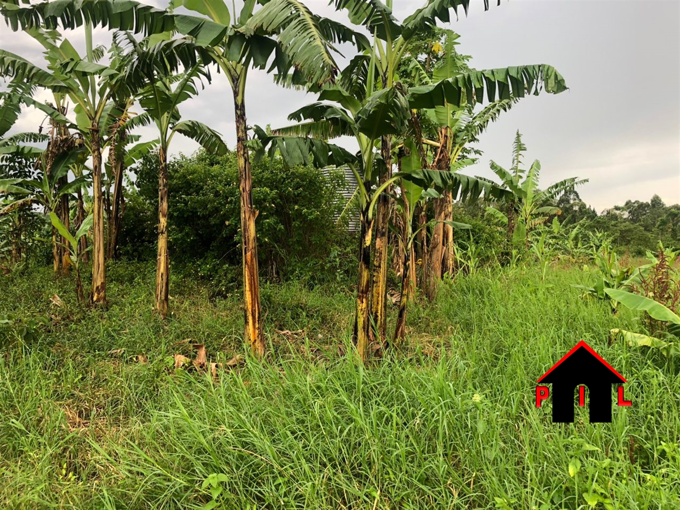 Commercial Land for sale in Lutaba Wakiso