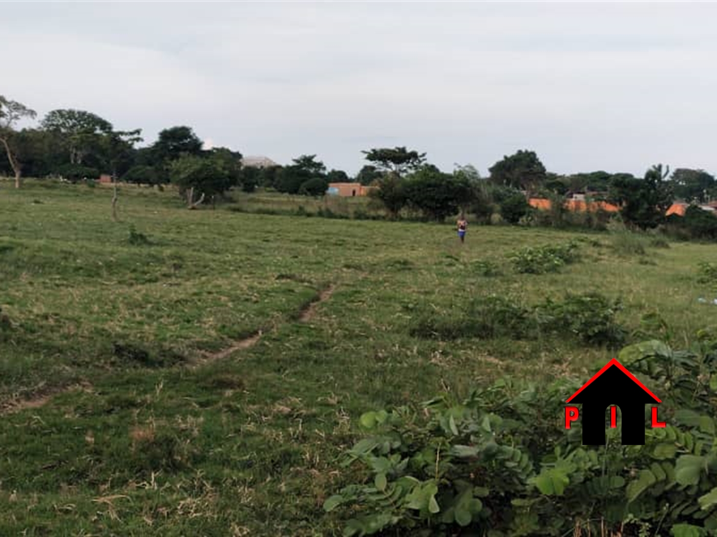 Commercial Land for sale in Nsaggu Wakiso