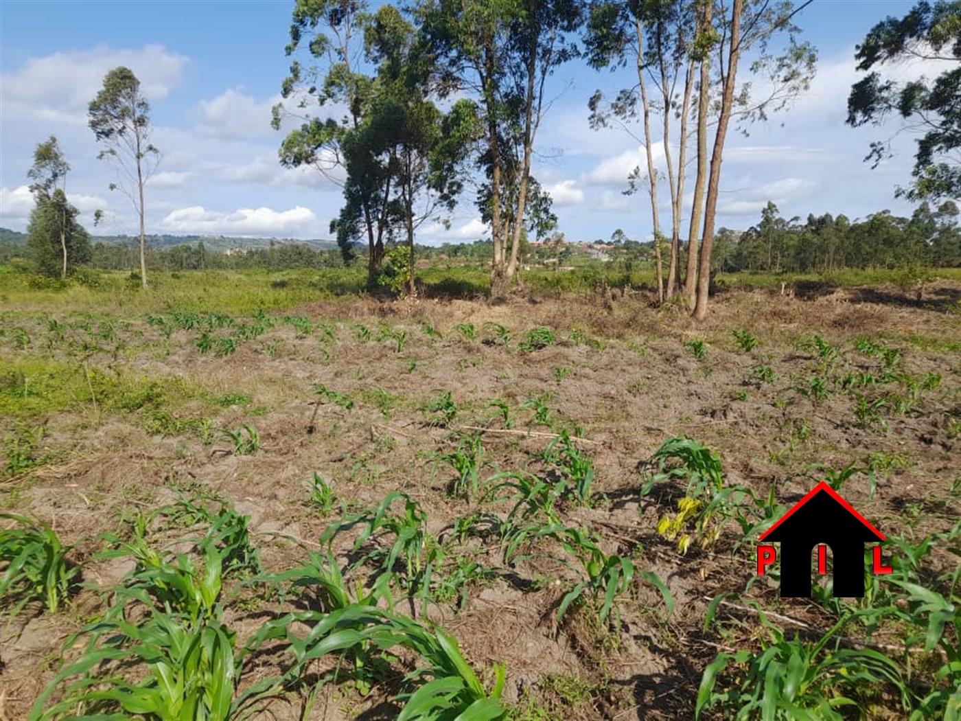 Residential Land for sale in Kisowero Mukono