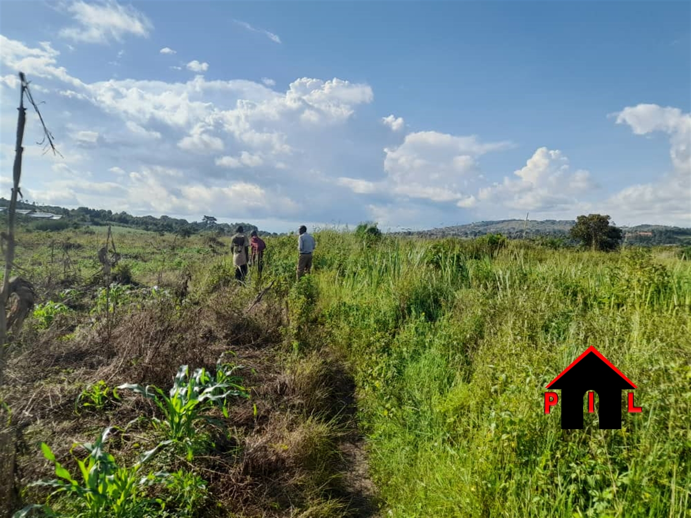 Commercial Land for sale in Kawuku Wakiso