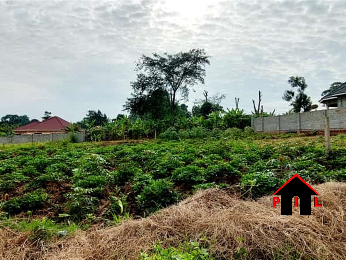 Commercial Land for sale in Kigarama Kiruhura