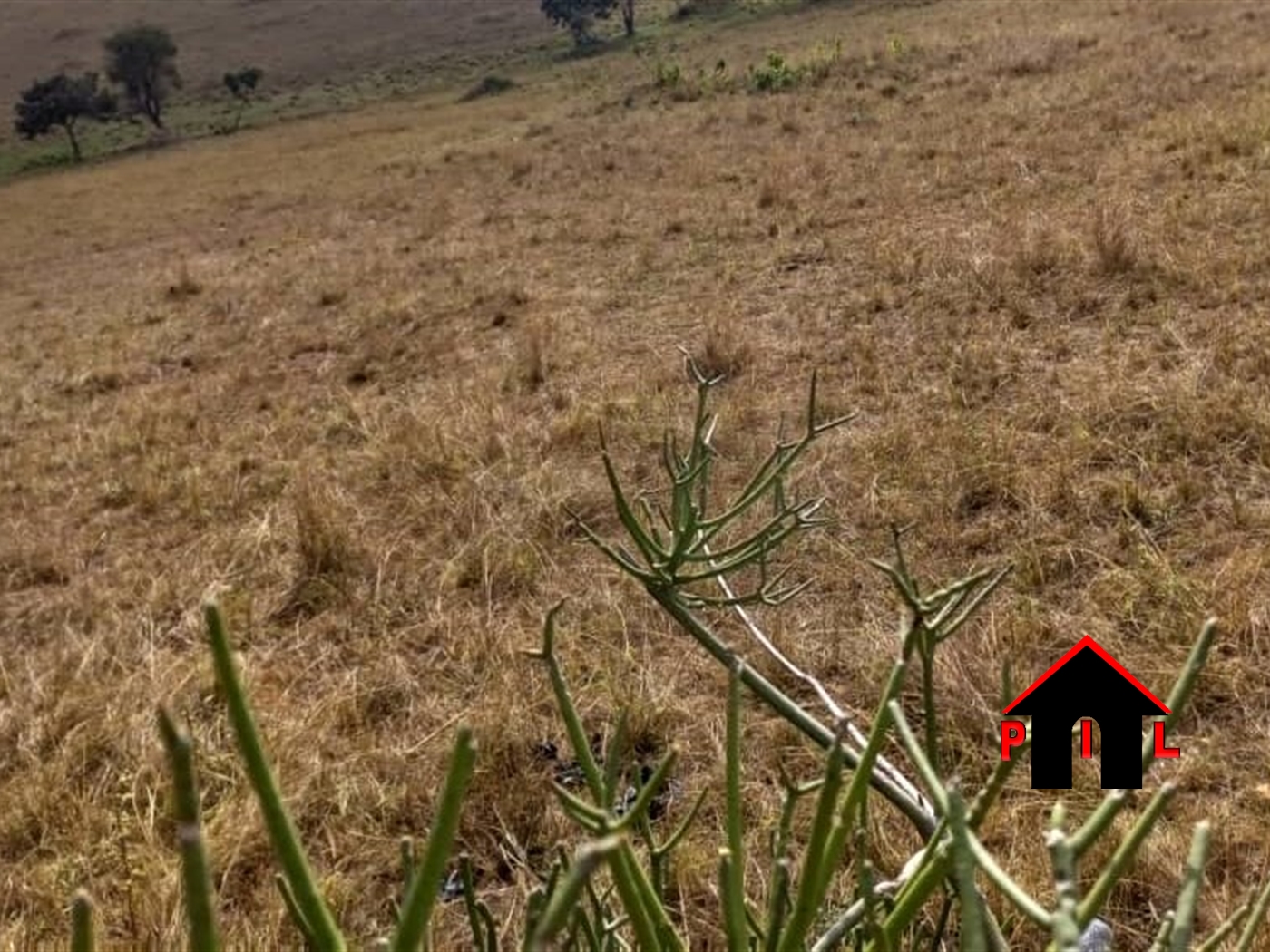 Commercial Land for sale in Kyafoora Ntungamo