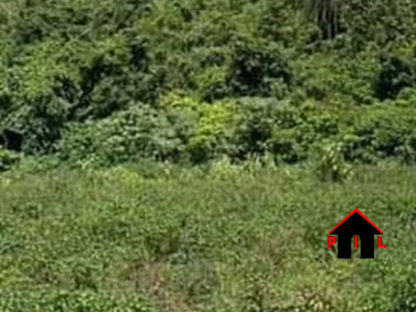 Residential Land for sale in Nalyamagonja Wakiso