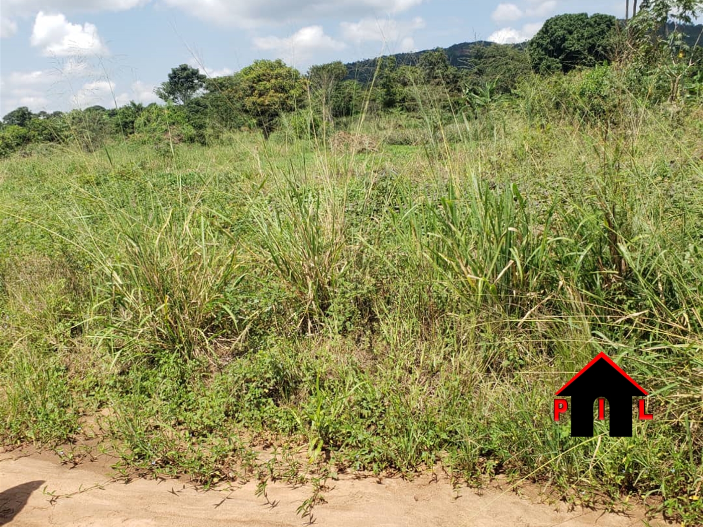 Agricultural Land for sale in Kitoma Mbarara