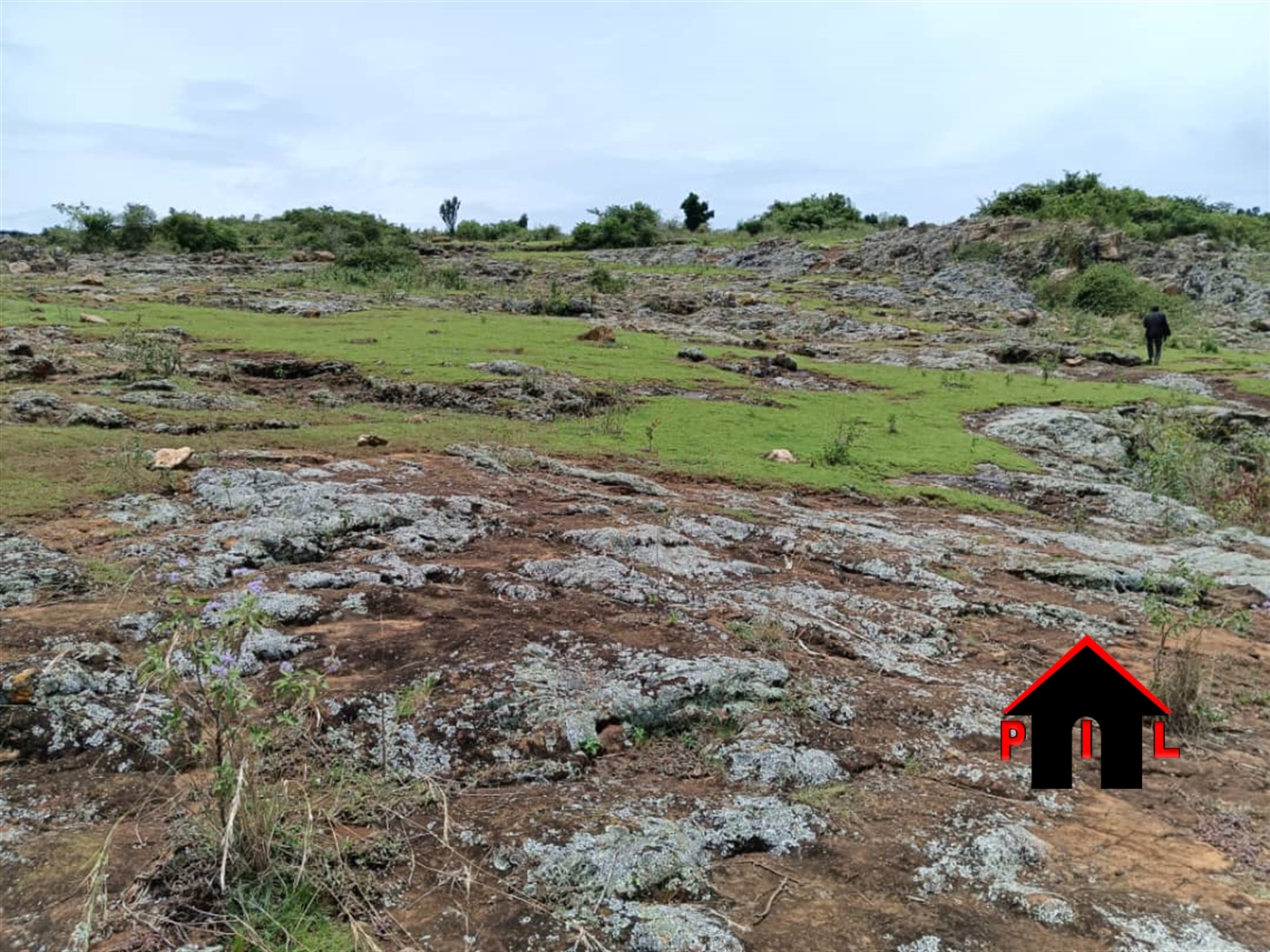 Agricultural Land for sale in Kiyindi Buyikwe
