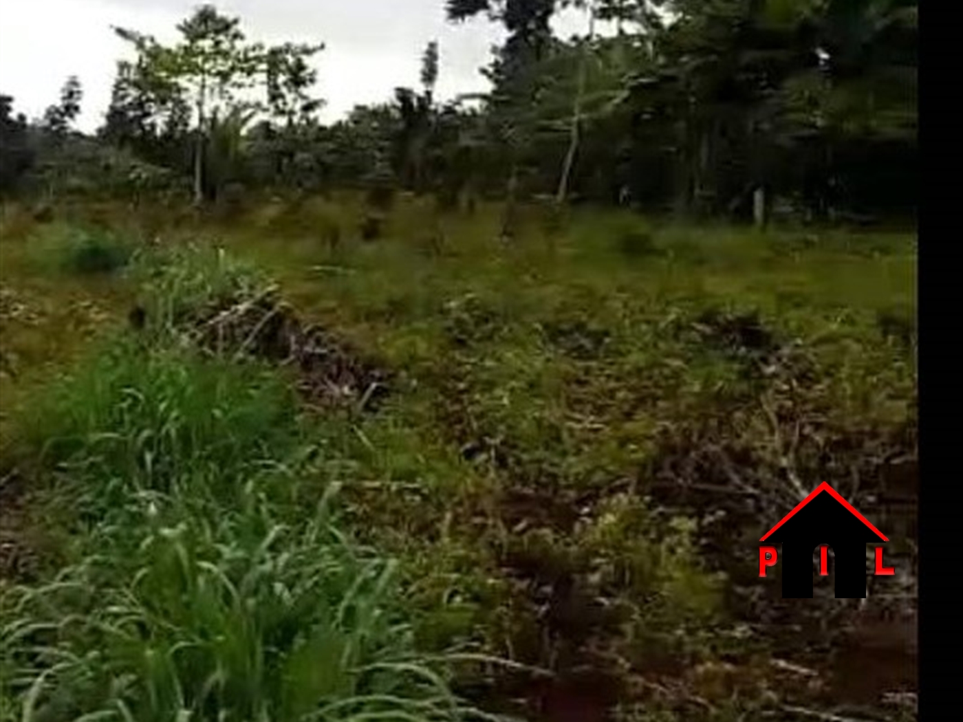 Agricultural Land for sale in Kapelebyong Amuria