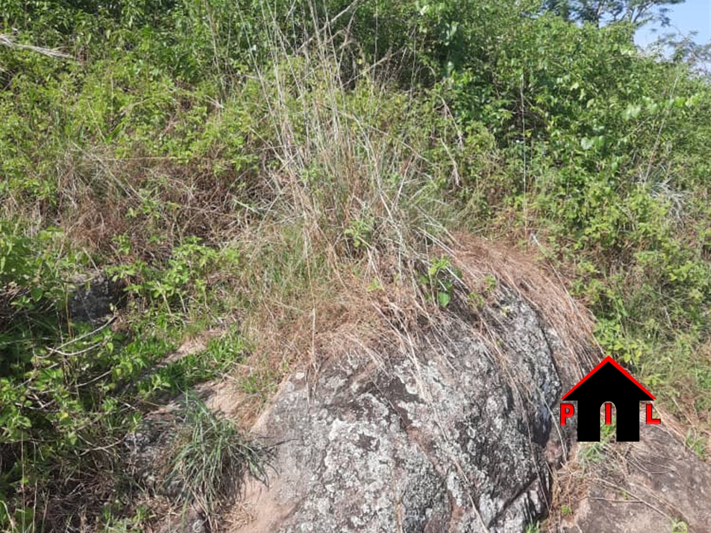 Commercial Land for sale in Bumbajja Mukono
