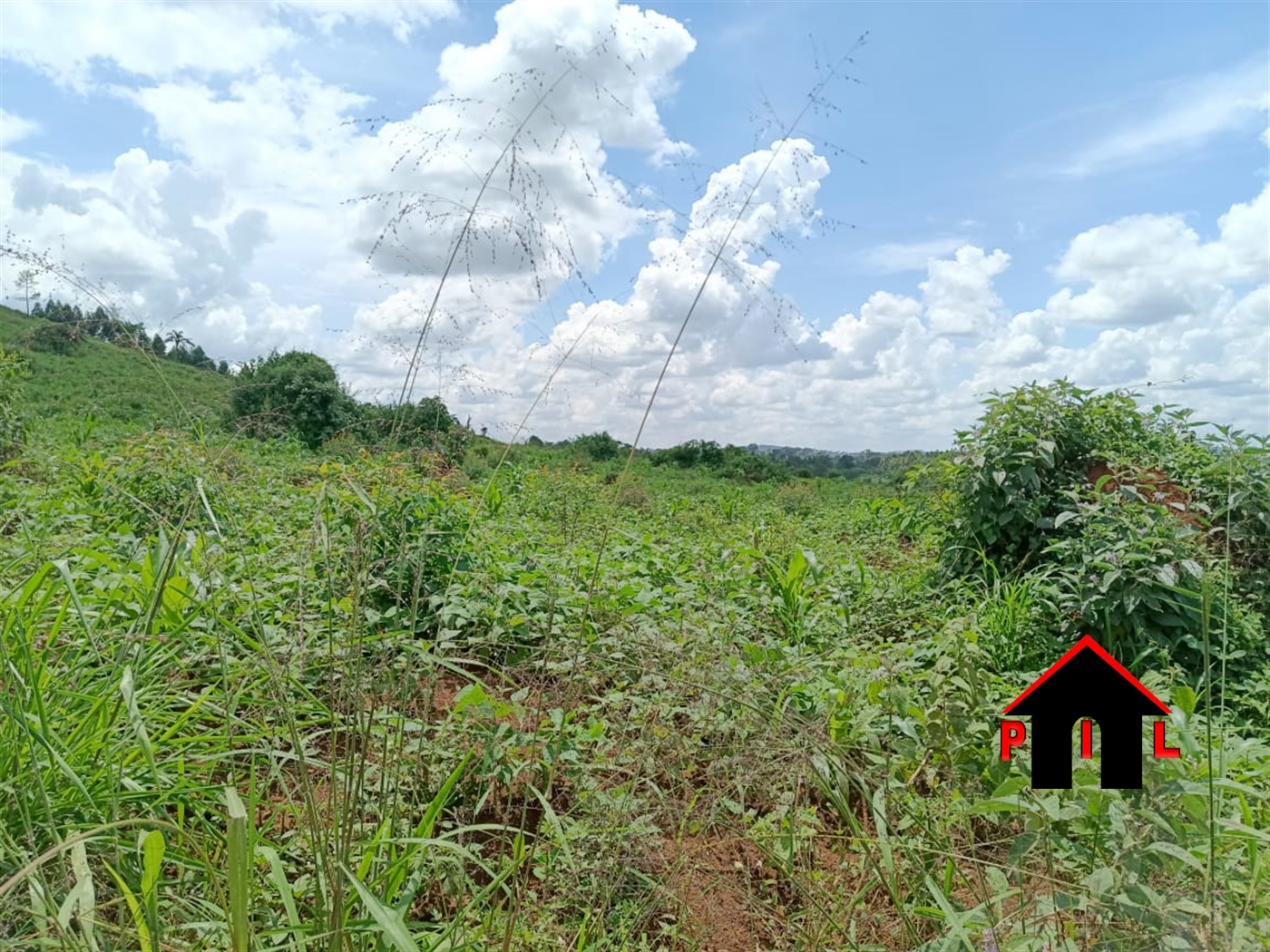 Commercial Land for sale in Namasumbi Mukono