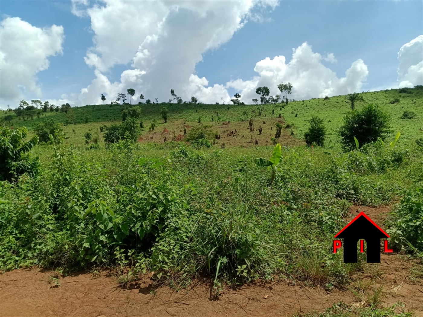 Commercial Land for sale in Naggalama Mukono