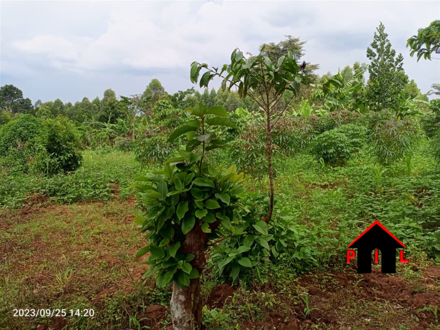 Residential Land for sale in Namugongo Wakiso