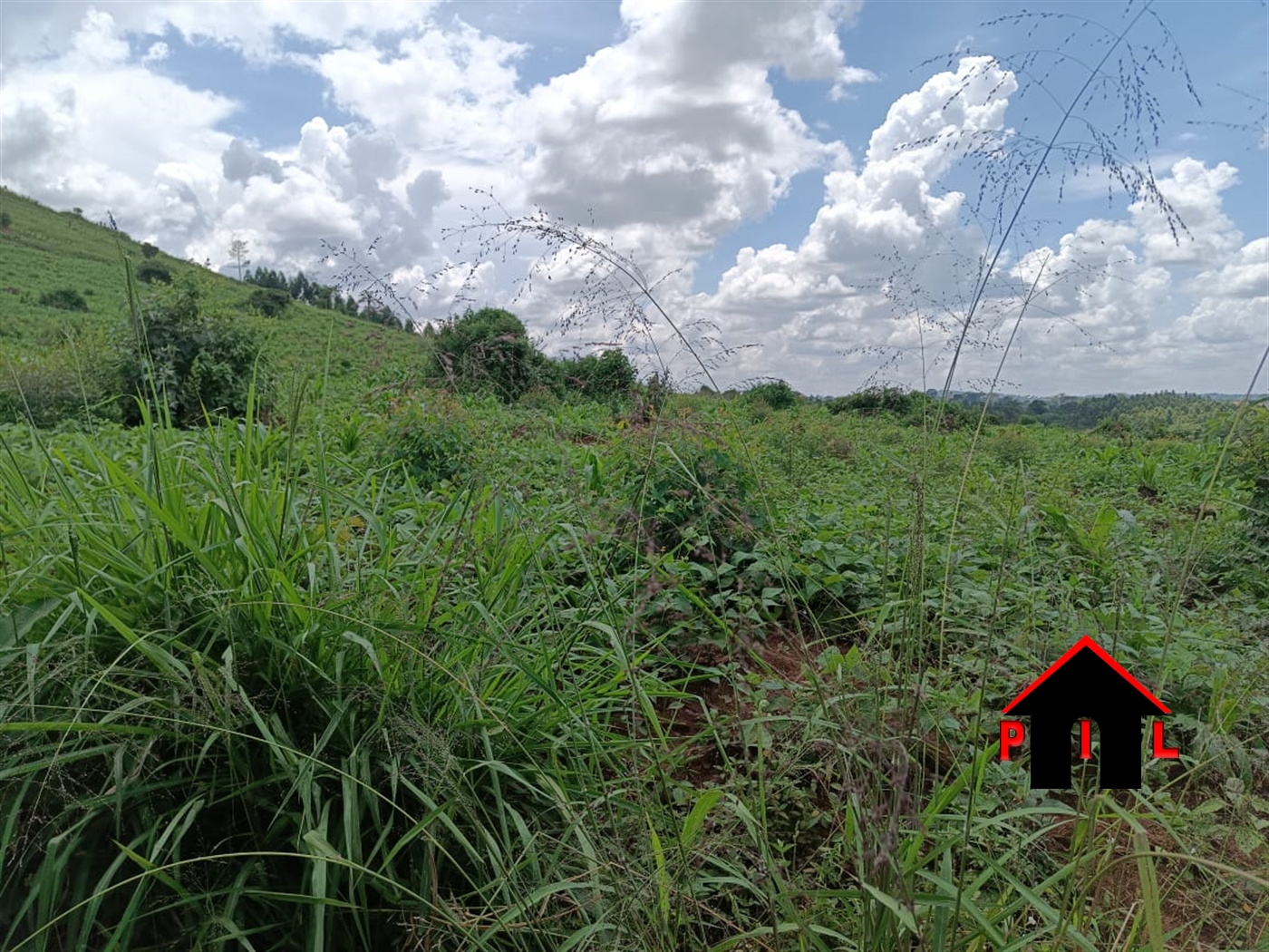 Commercial Land for sale in Nyerere Mukono