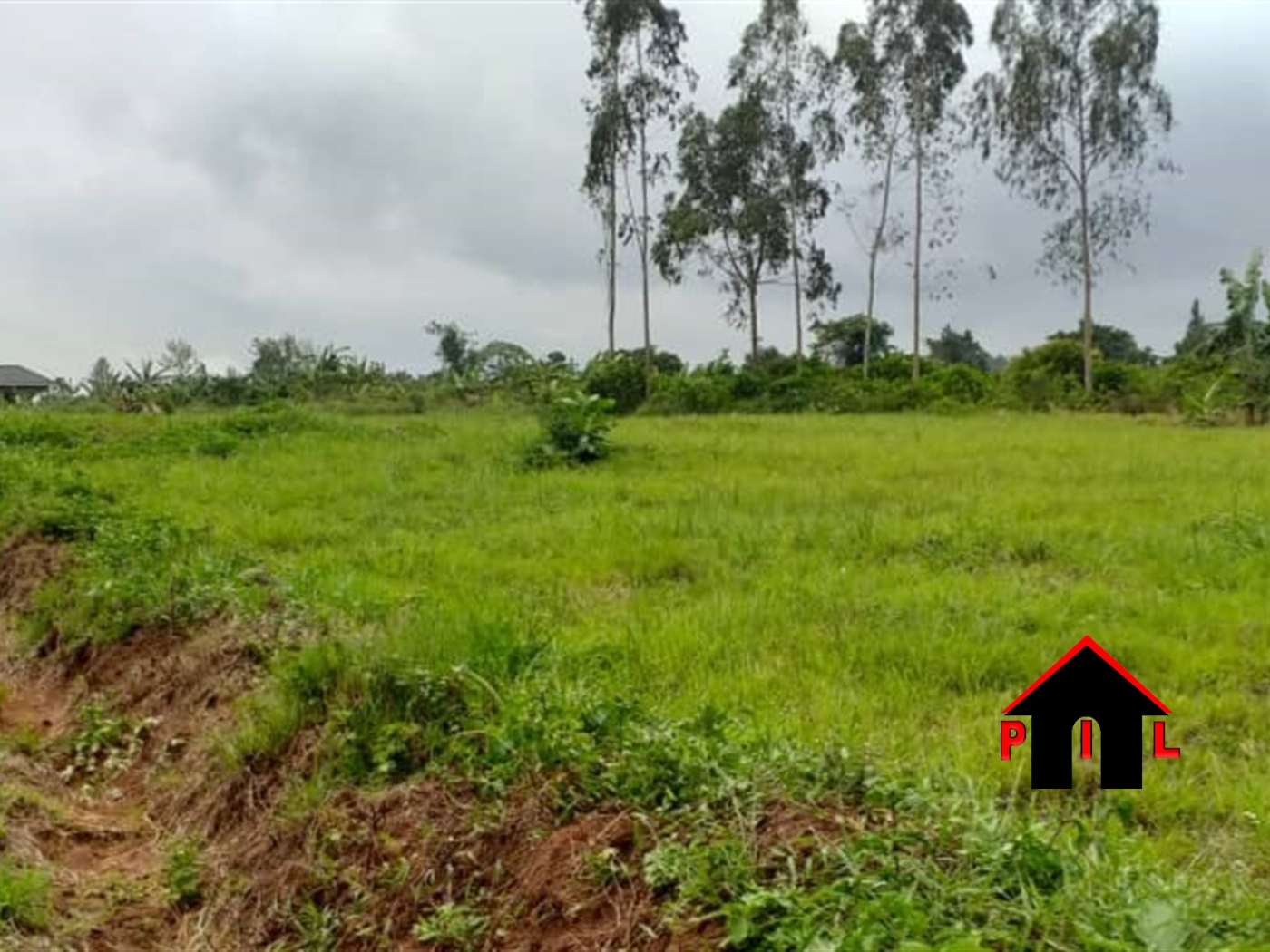 Commercial Land for sale in Sonde Wakiso