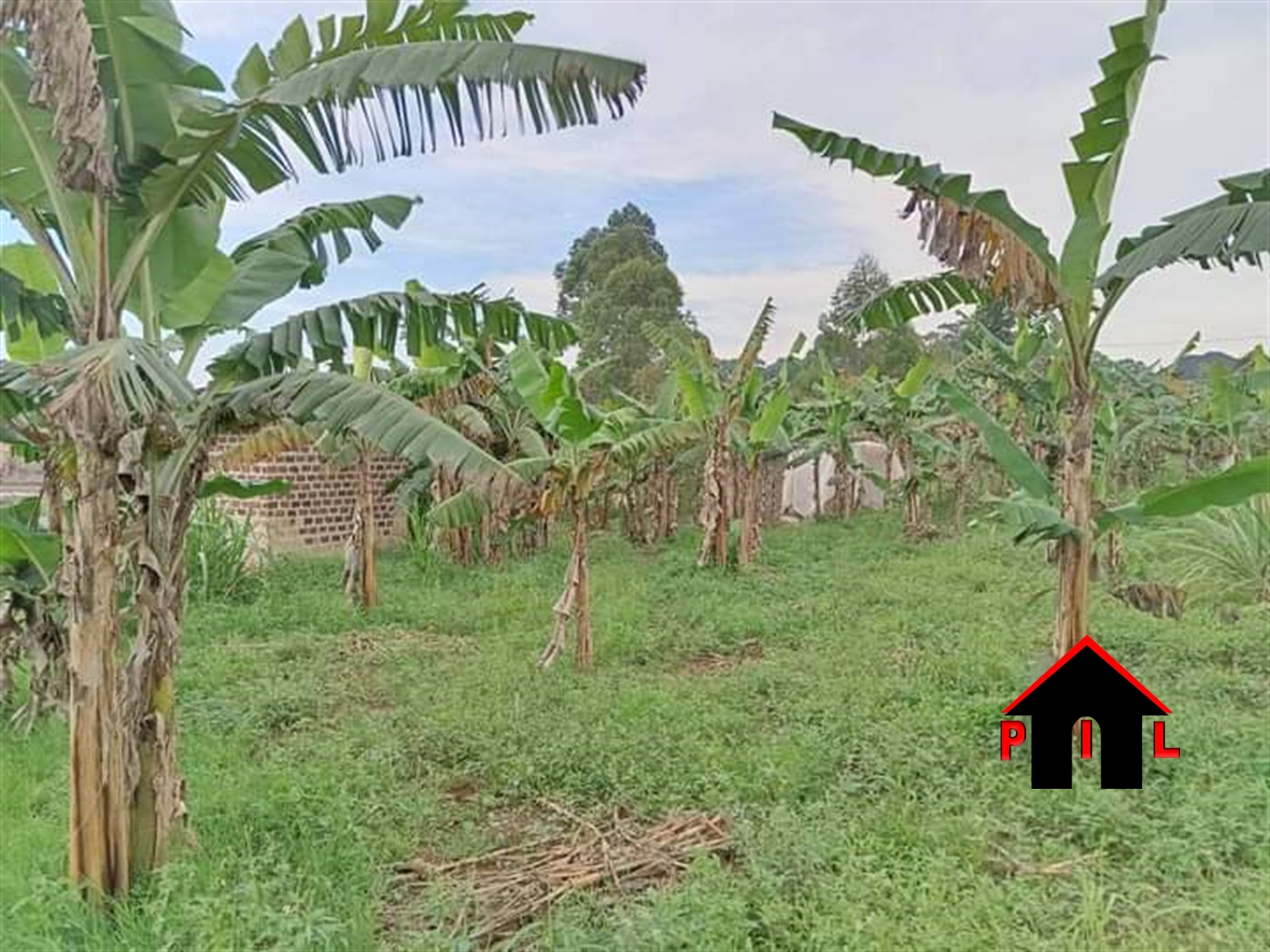 Commercial Land for sale in Kyetume Mukono