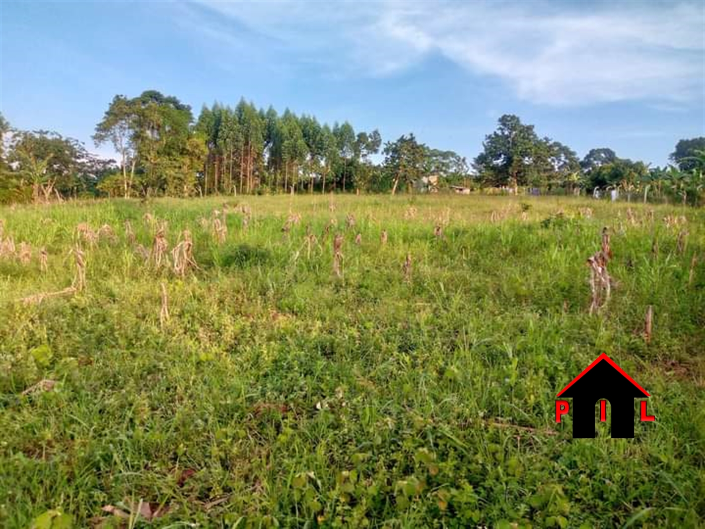Commercial Land for sale in Nakosi Mukono