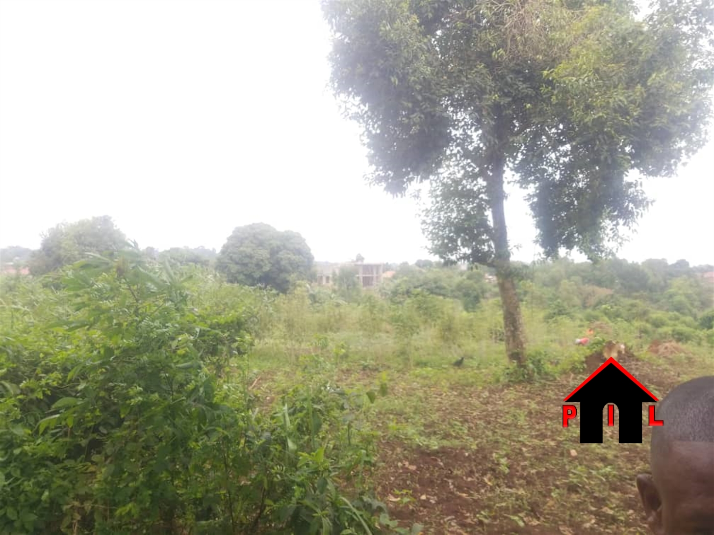 Commercial Land for sale in Massoli Wakiso