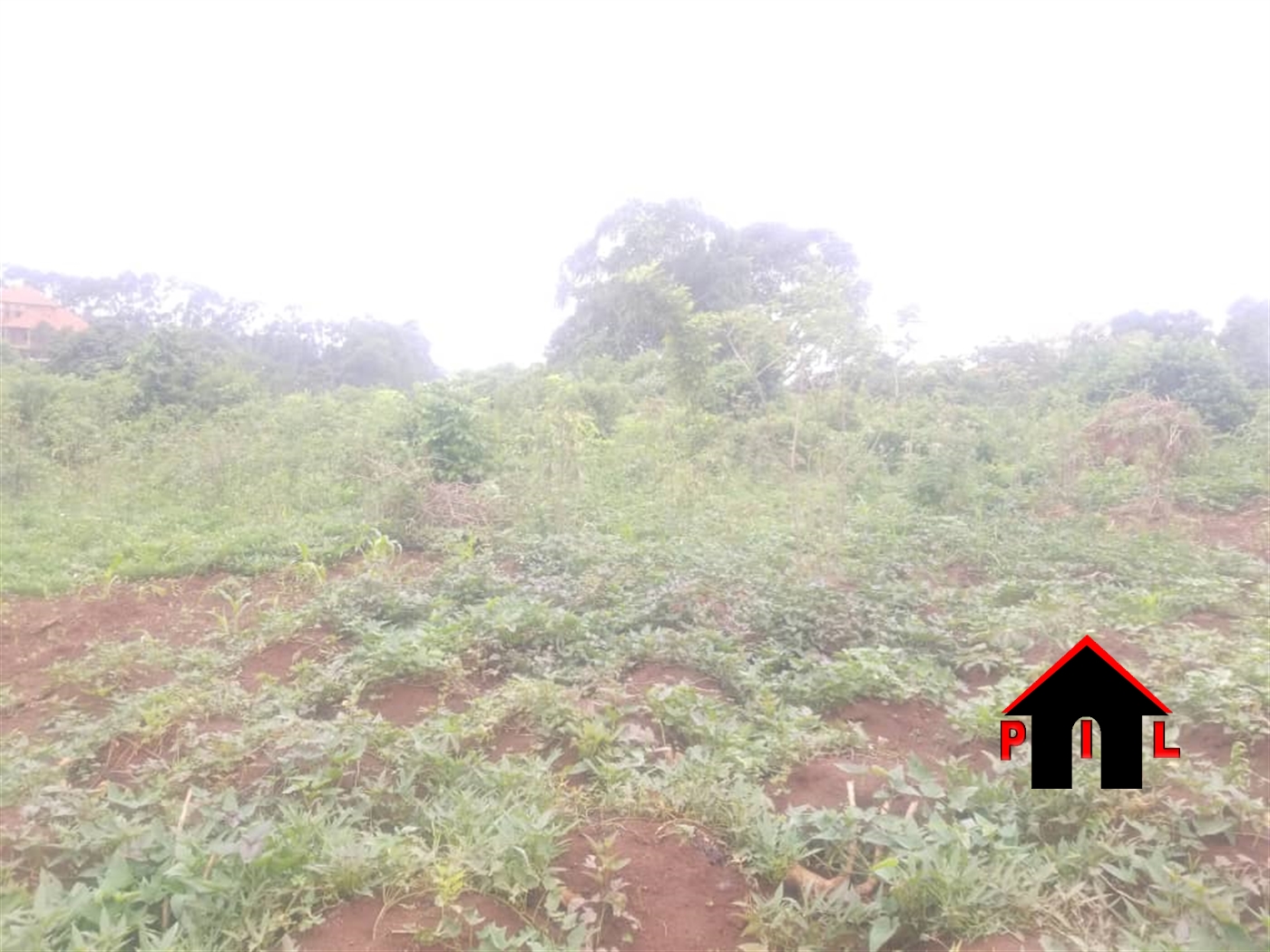 Commercial Land for sale in Massoli Wakiso