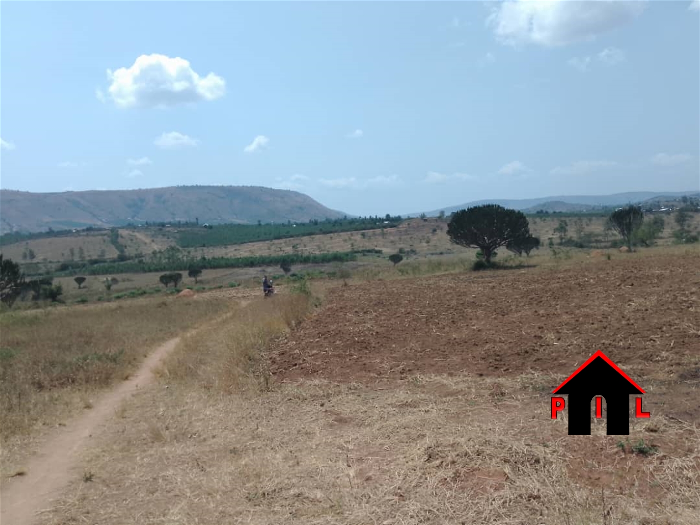 Agricultural Land for sale in Nyarubungo Mbarara