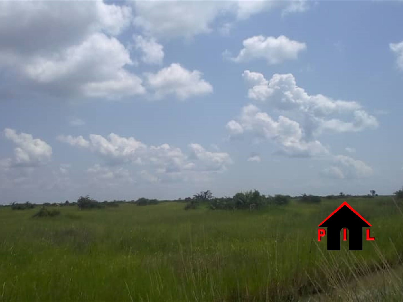 Agricultural Land for sale in Gawumbeko Luweero