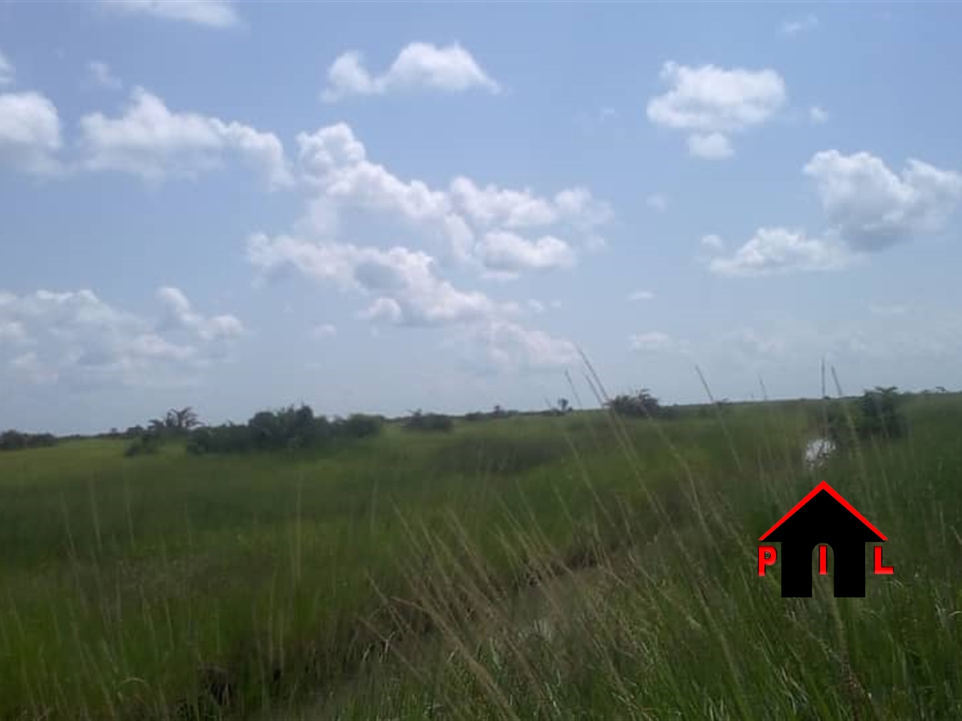 Agricultural Land for sale in Gawumbeko Luweero