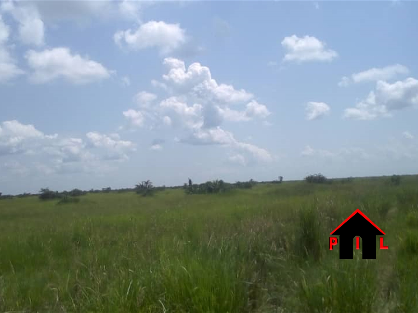 Agricultural Land for sale in Kalasa Luweero