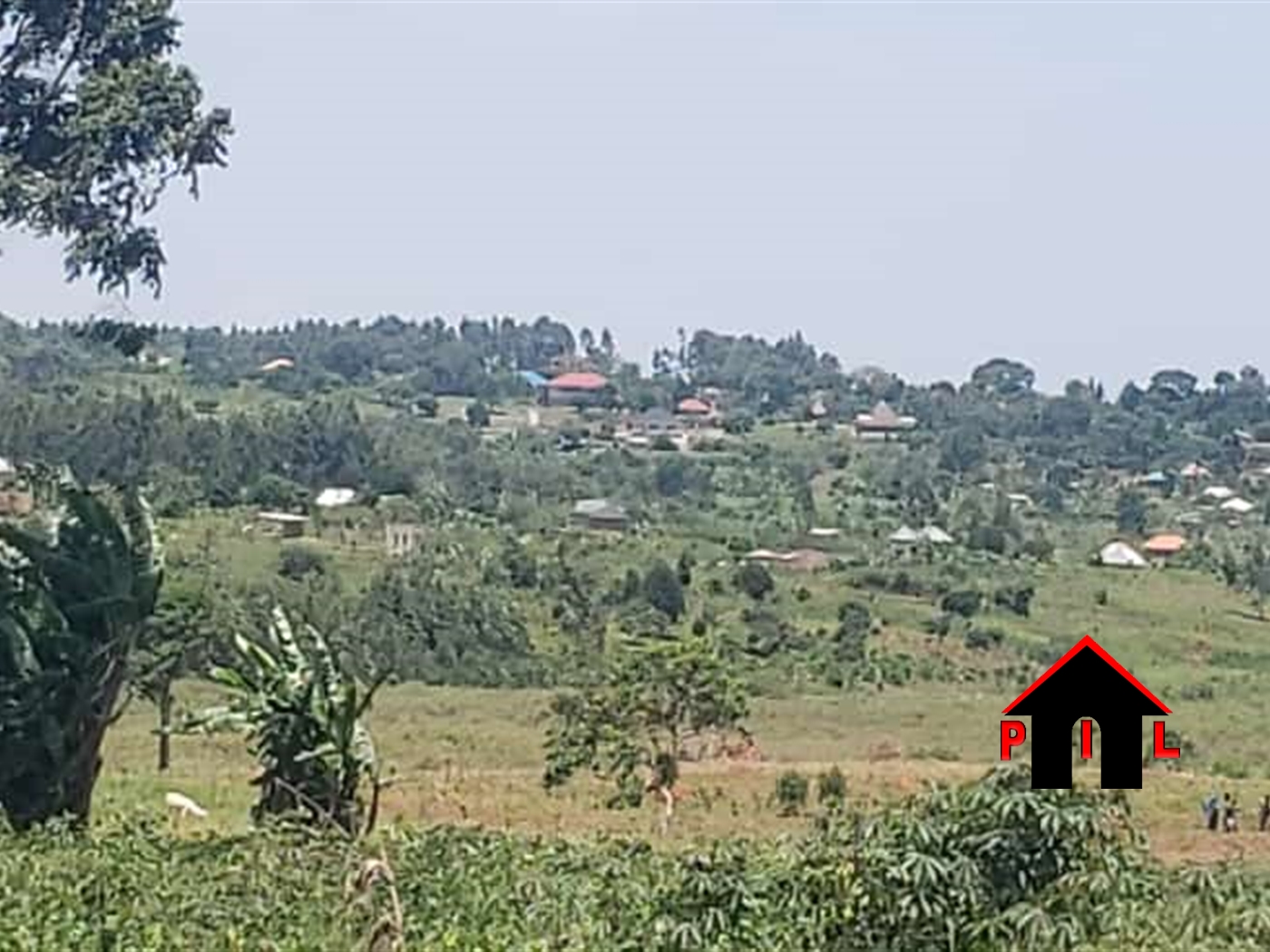 Commercial Land for sale in Yandwe Luweero