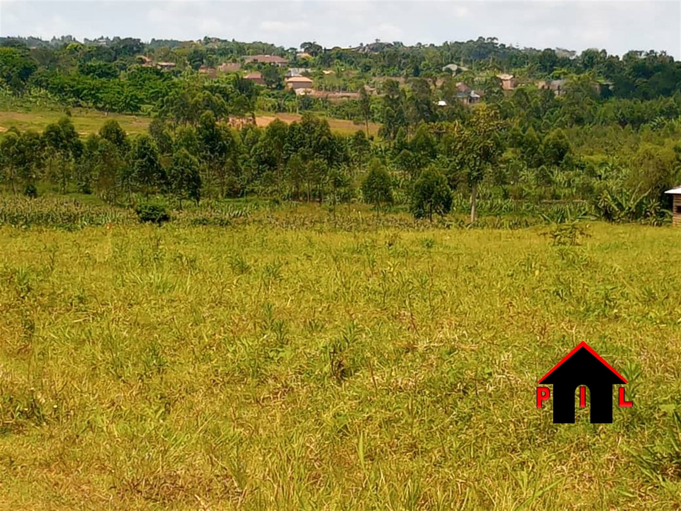 Agricultural Land for sale in Pakwach Nwoya
