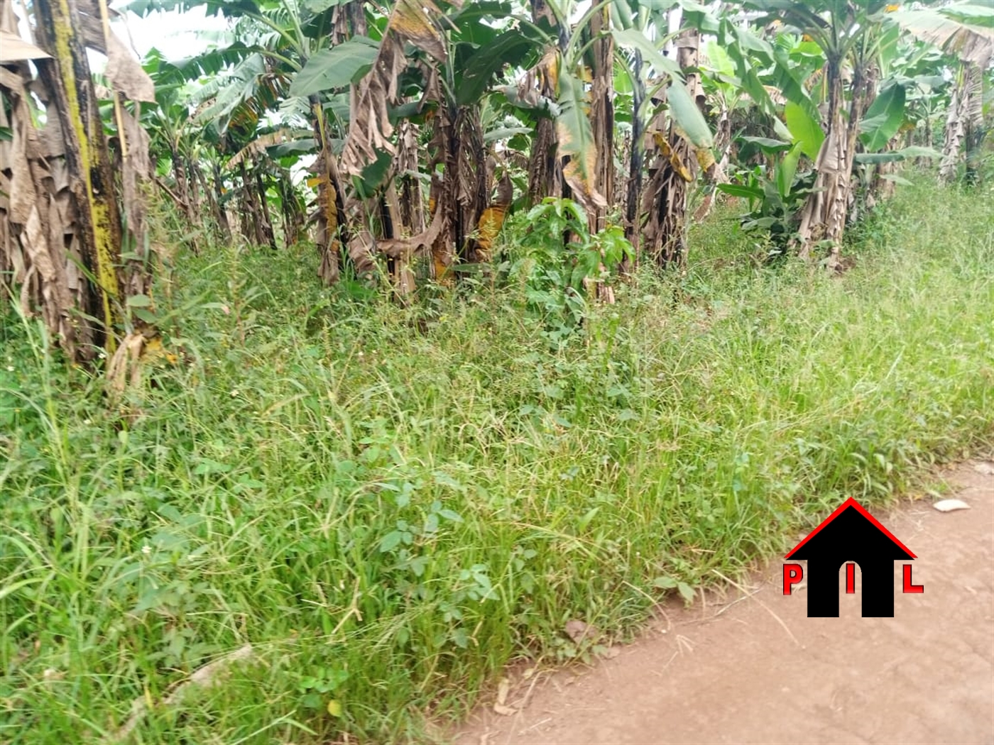 Commercial Land for sale in Bukunja Buyikwe