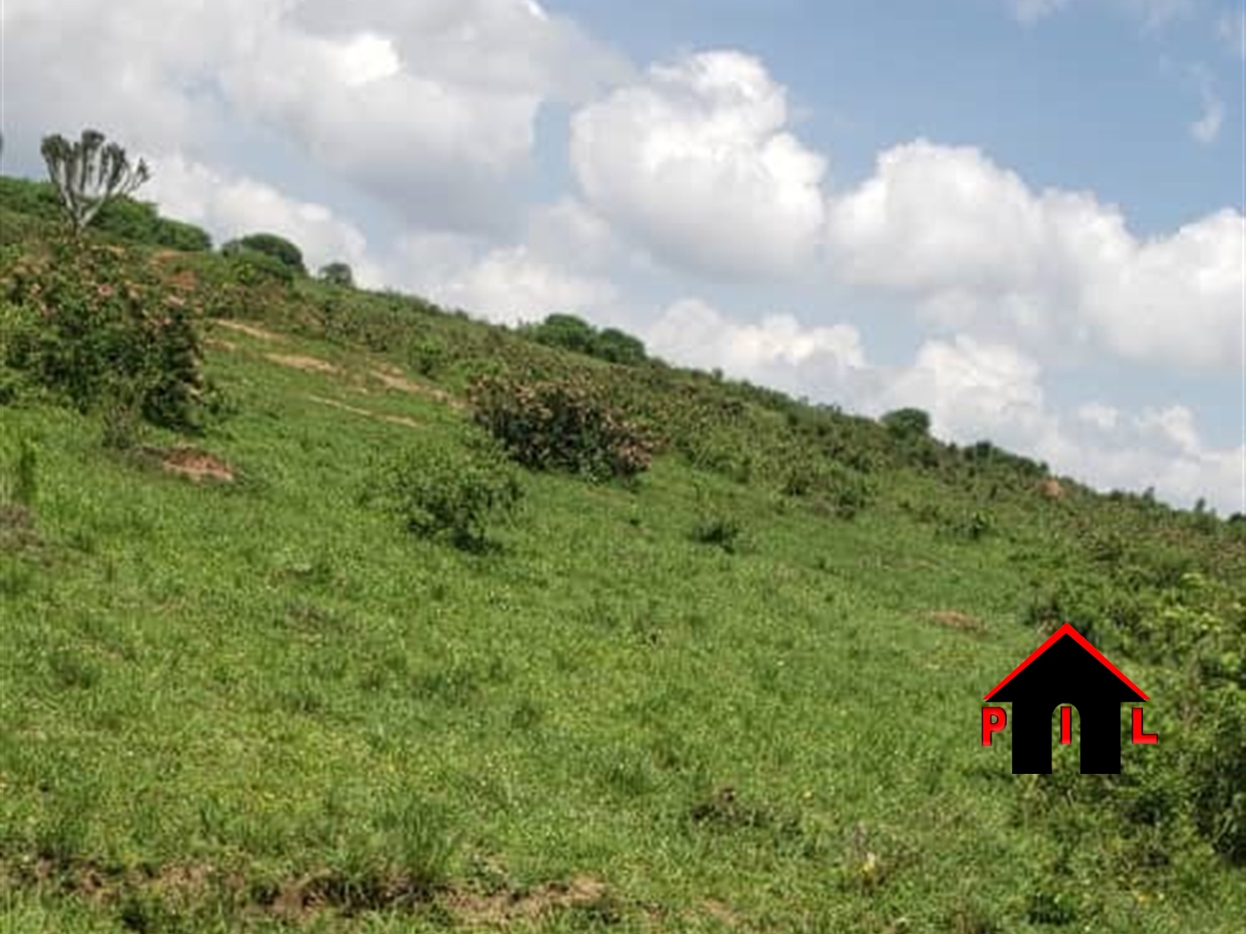 Commercial Land for sale in Kiyenje Isingilo