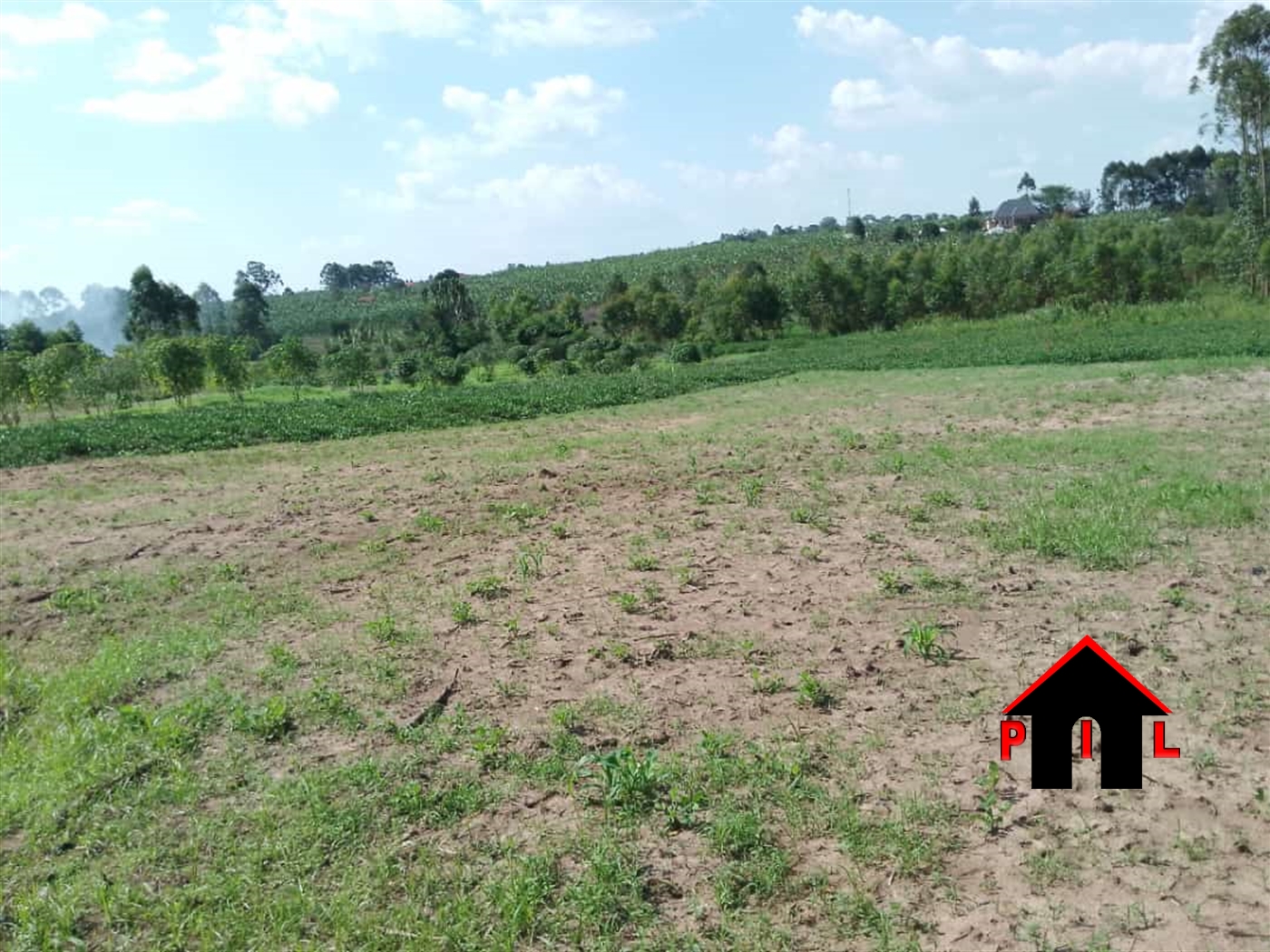 Agricultural Land for sale in Kitooma Wakiso